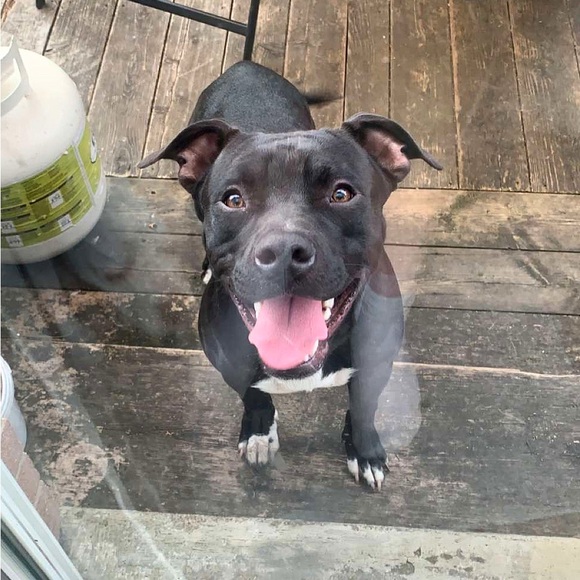 Meet your Posher, Kate - Picture 3 of 3